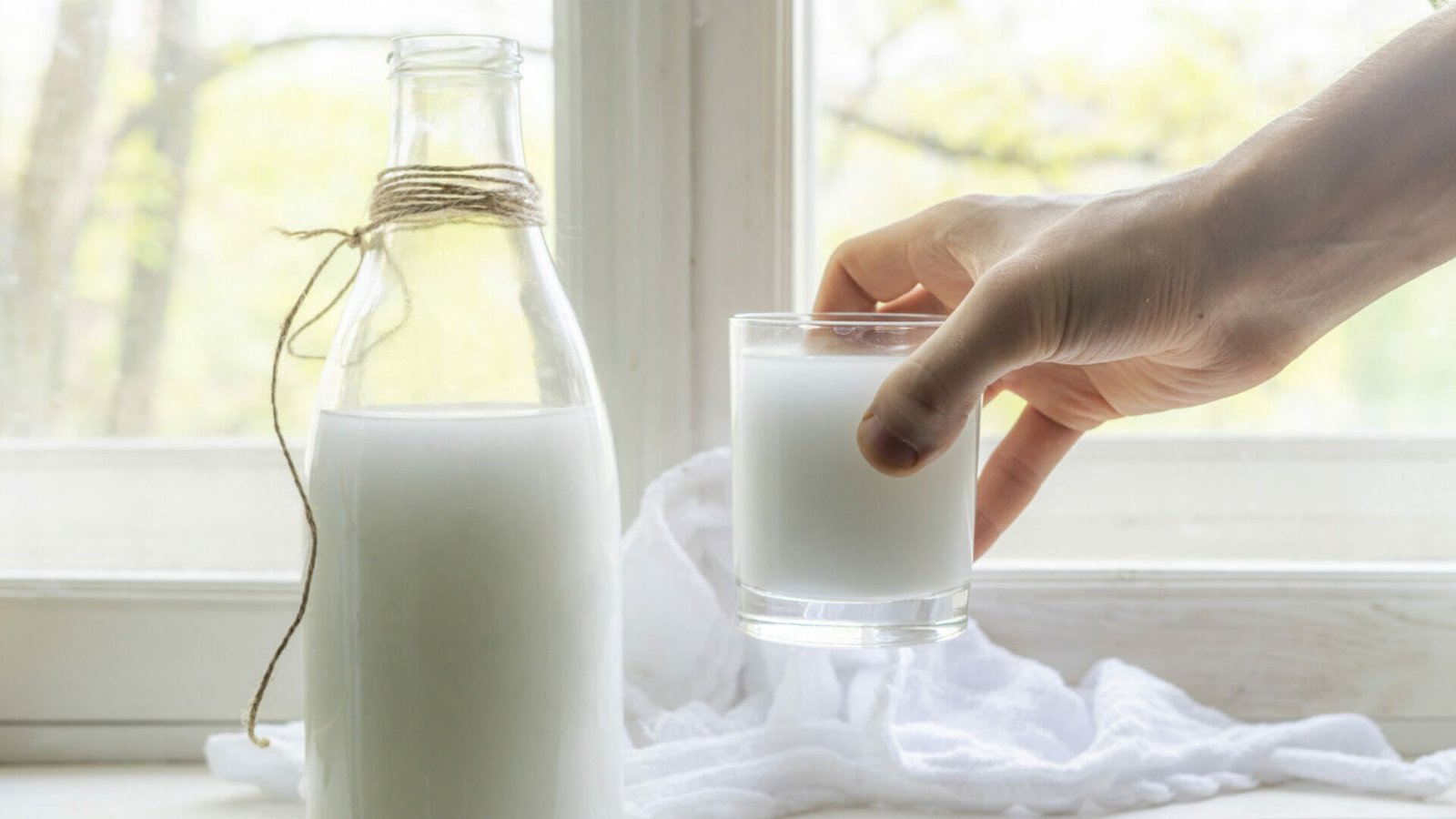 Sữa và sức khỏe xương