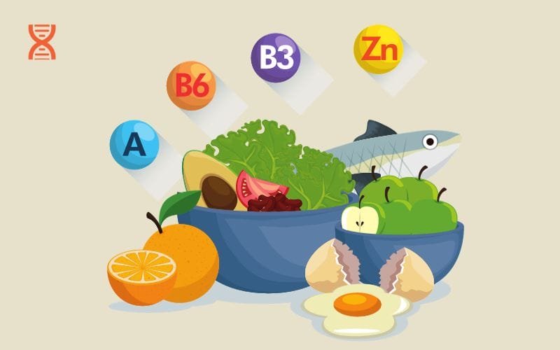 TĂŹm hiá»u TĂŹm Hiá»u Vá» Dinh DÆ°á»Ąng CÄn BáșŁn