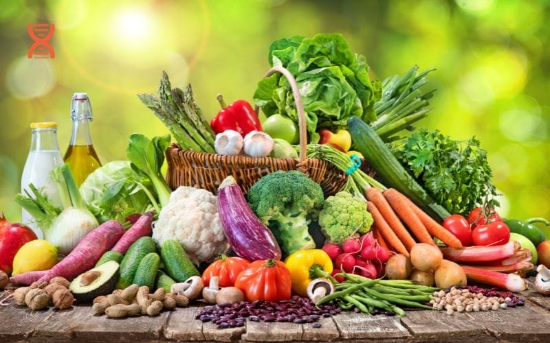 XĂąy Dá»±ng Cháșż Äá» Än Cho Sức Khá»e Tá»t