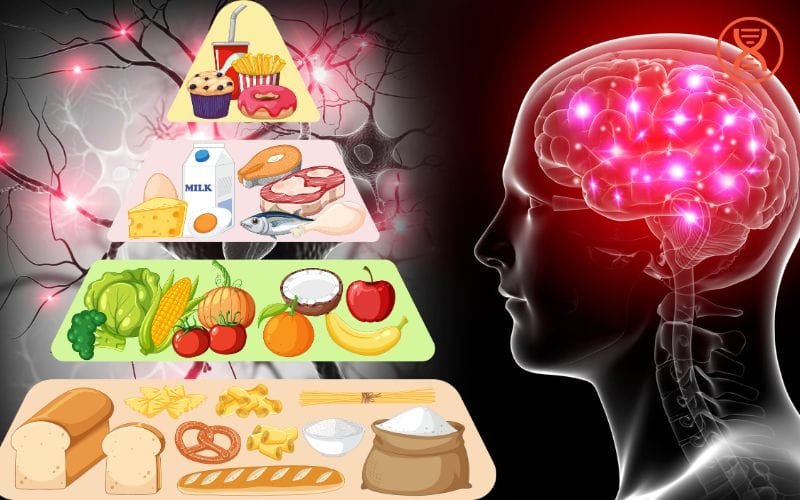 Khóa học dinh dưỡng răng cường trí não