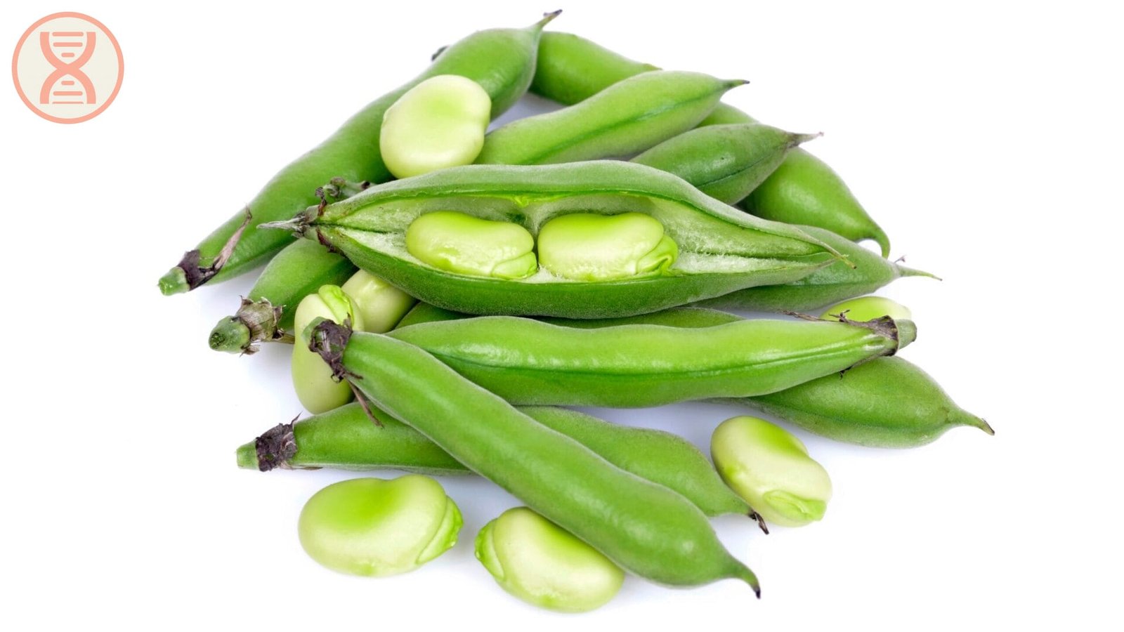 lợi ích sức khỏe dinh dưỡng của đậu răng ngựa