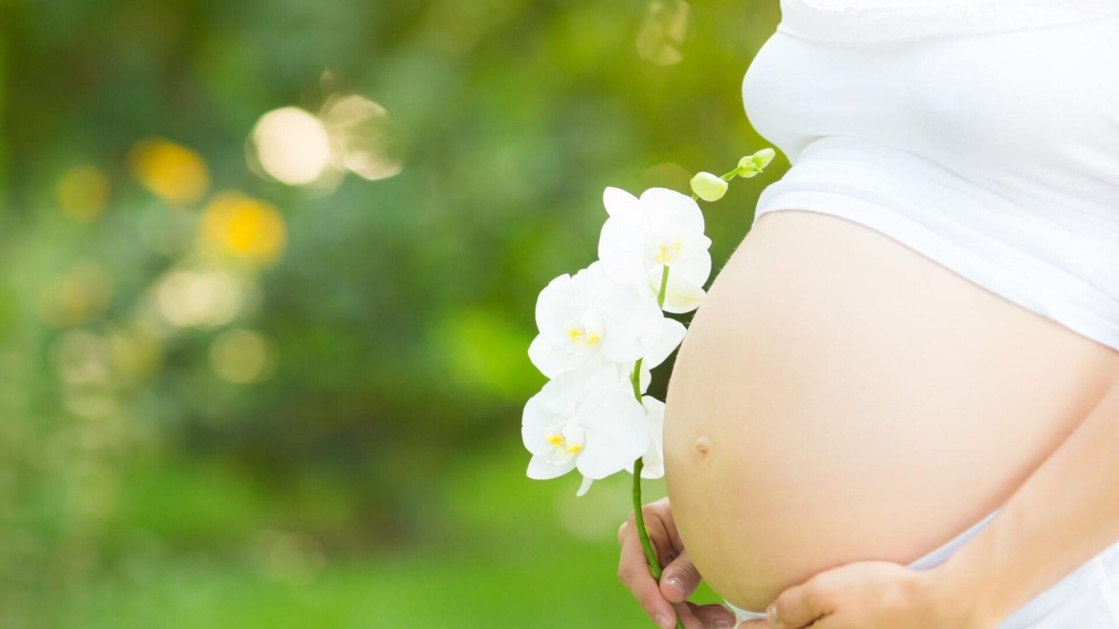 làm thế nào để có một chế độ dinh dưỡng tối ưu cho phụ nữ mang thai