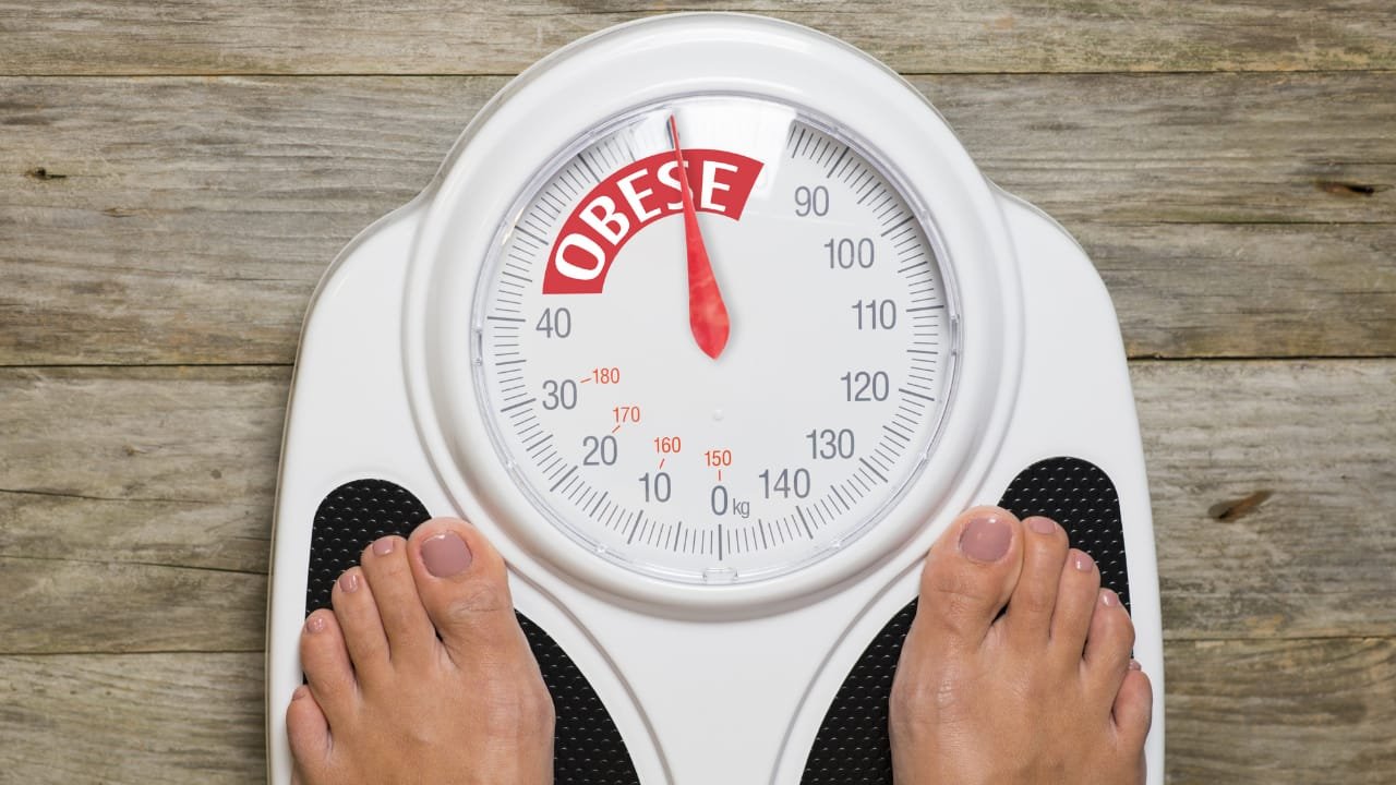 dinh dưỡng kiểm soát cân nặng