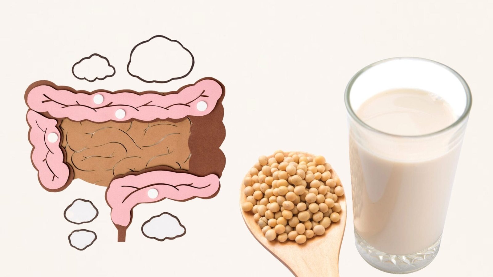 Ung thư đại tràng và đậu nành