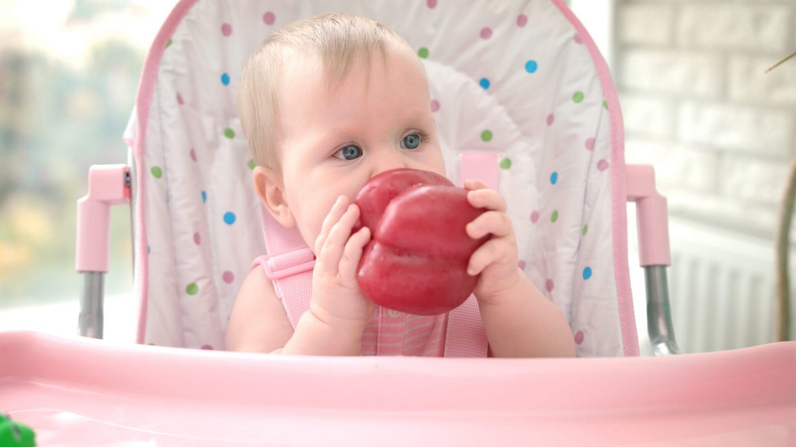 Chế độ ăn dặm tự chỉ huy