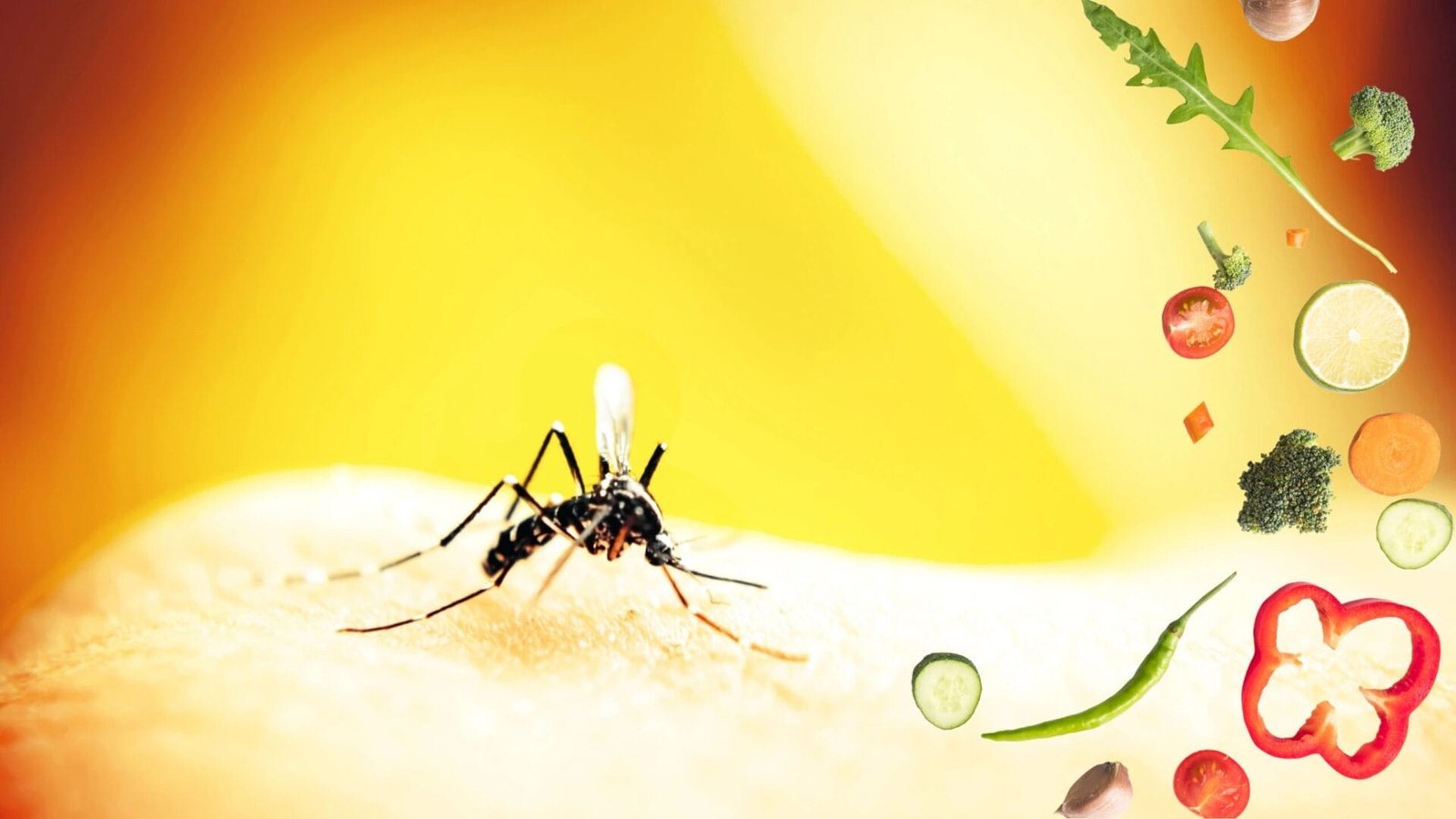 Chế độ dinh dưỡng cho người bệnh sốt xuất huyết