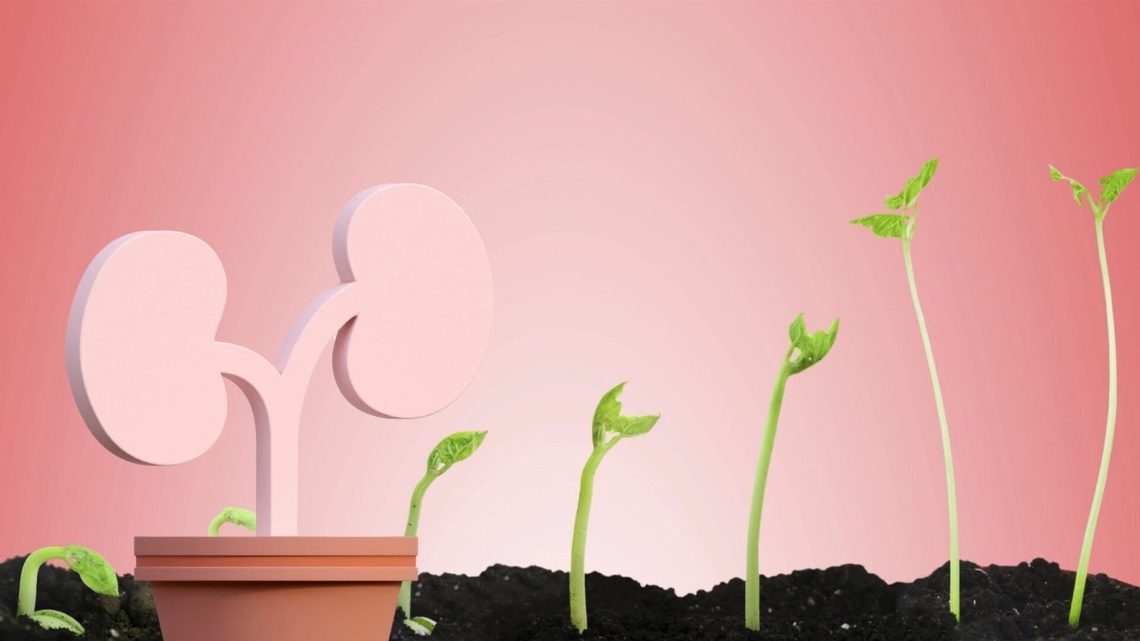 Dinh dưỡng cho từng giai đoạn suy thận