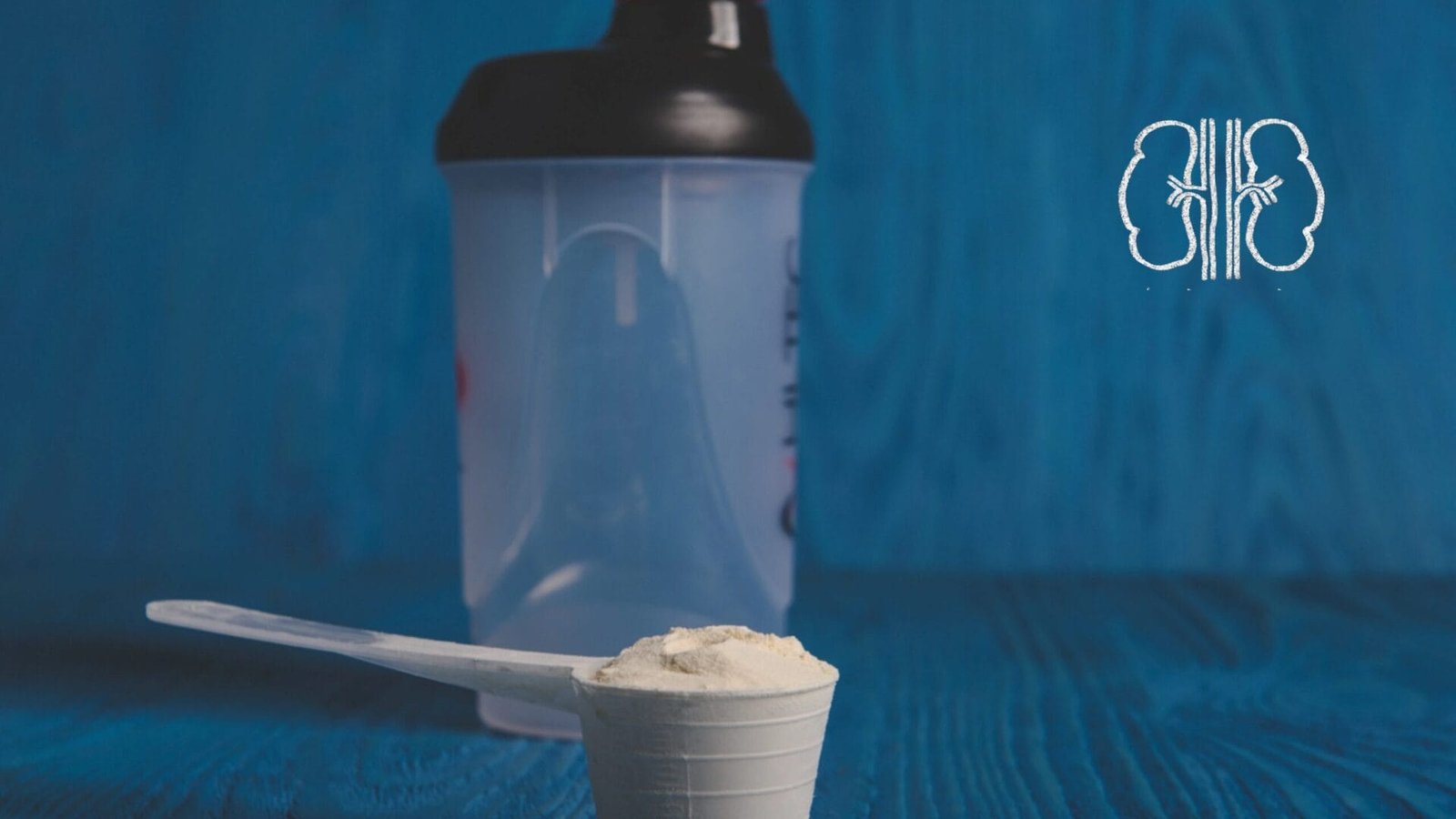 Bổ sung đạm trong bệnh lý suy thận