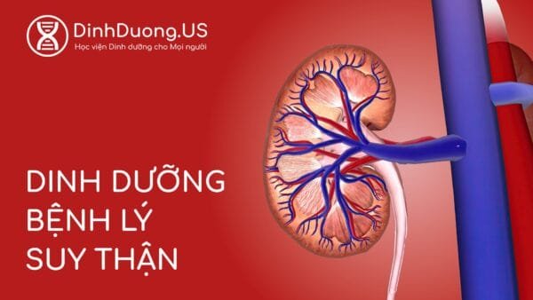 Dinh DÆ°á»Ąng Bá»nh LĂœ Suy Tháșn