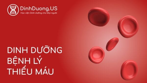 Dinh Dưỡng Bệnh Lý Thiếu Máu
